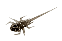 13 Fishing B.A.M.F. 13 Fishing B.A.M.F.