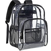 Black Transparent Backpack
