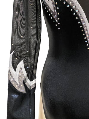 BLACK & SILVER MYSTIQUE / SHEER LONG SLEEVE