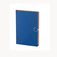 Blue DiaryBB25 Blue DiaryBB25