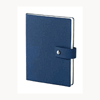 Blue Diary BB43 Blue Diary BB43