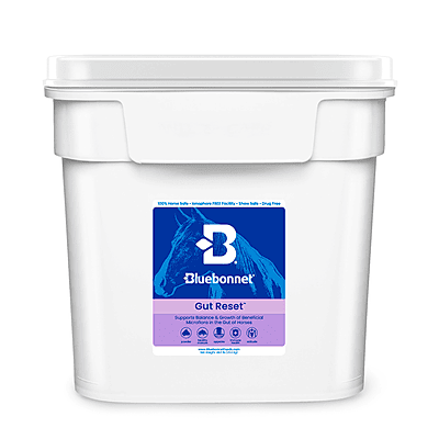 Gut Reset Powder
