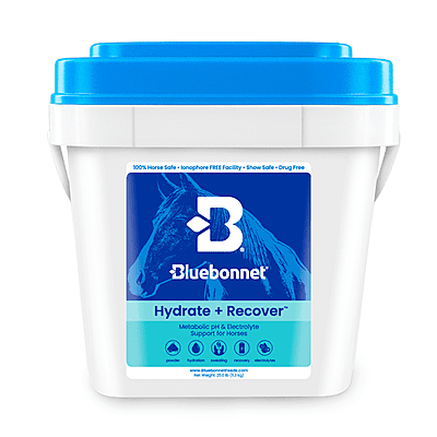 Hydrate & Recover (Turbo Mag BCAA)