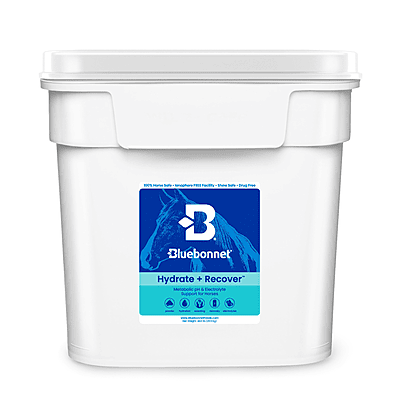 Hydrate & Recover (Turbo Mag BCAA)