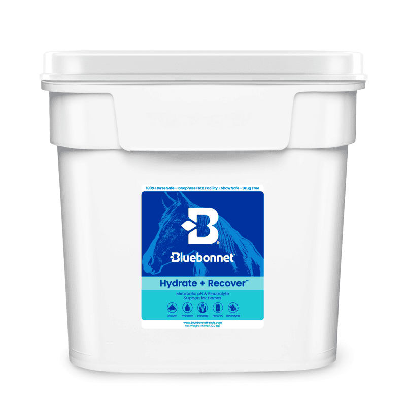 Hydrate & Recover (Turbo Mag BCAA)