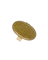 Body Brush Body Brush