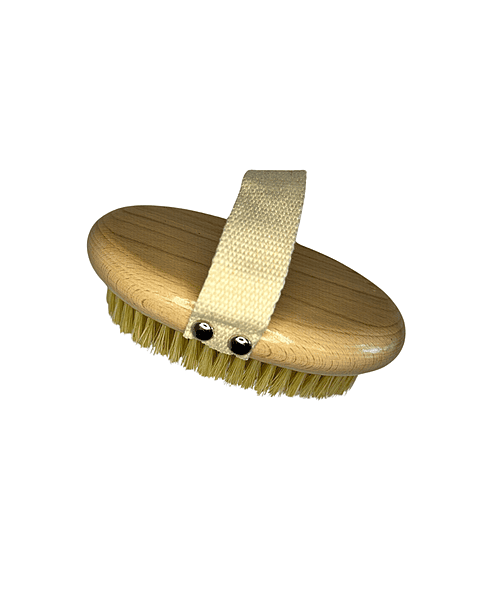 Body Brush Body Brush