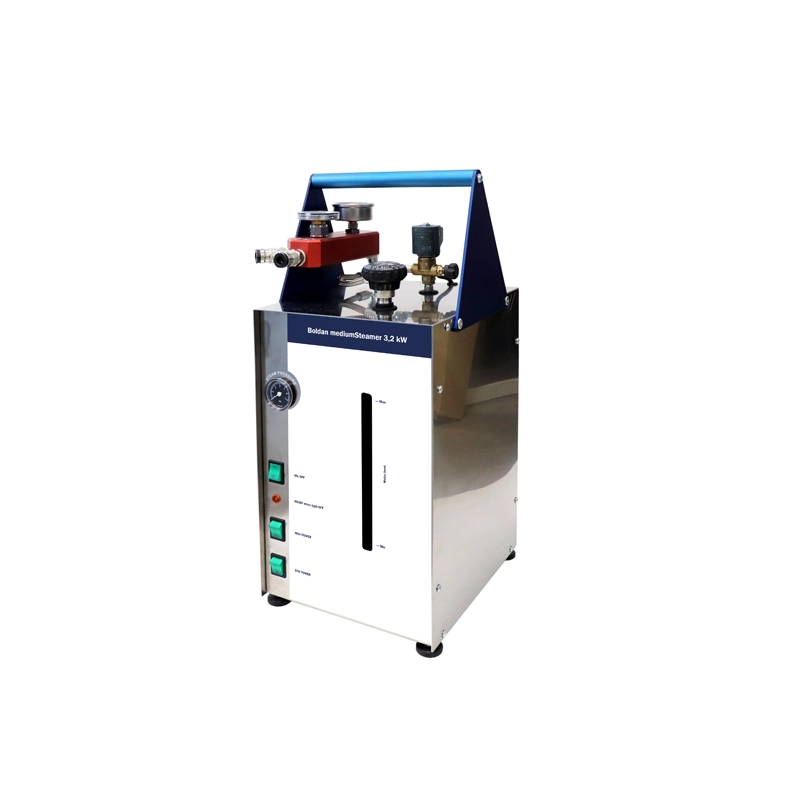mediumSteamer 3200W 110V