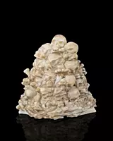 Bone Throne - Phone Holder