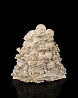 Bone Throne - Phone Holder