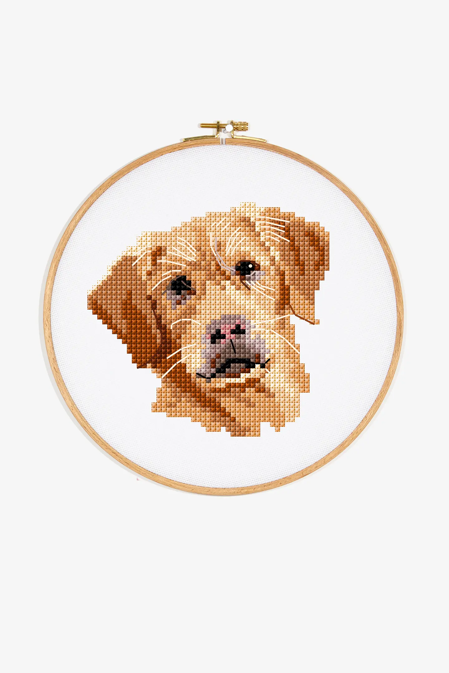 Schema Labrador gratuito + Set di matassine Moulinè DMC