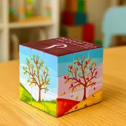 Customined Rubik’s Cube