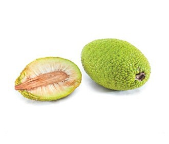 BREADFRUIT (800gm)