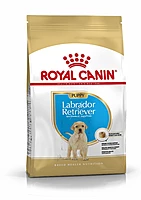 Royal Canin Breed Health Nutrition Labrador Puppy