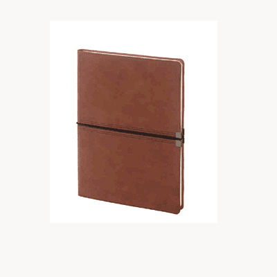 Brown Diary BB23
