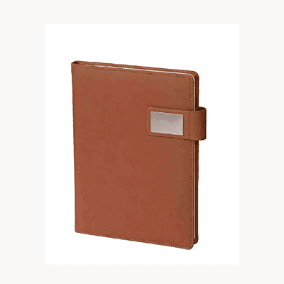 Brown Diary BB38