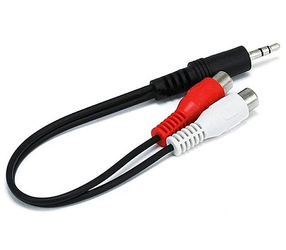 Câble 2 Prises RCA Femelles Vers Prise Jack Mâle 6 PO (15 CM)