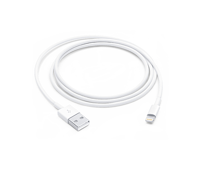 Câble Chargeur Lightning