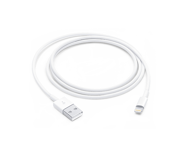 Câble Chargeur Lightning