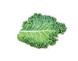 Kale