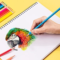 LÁPIZ DE COLOR - C00200