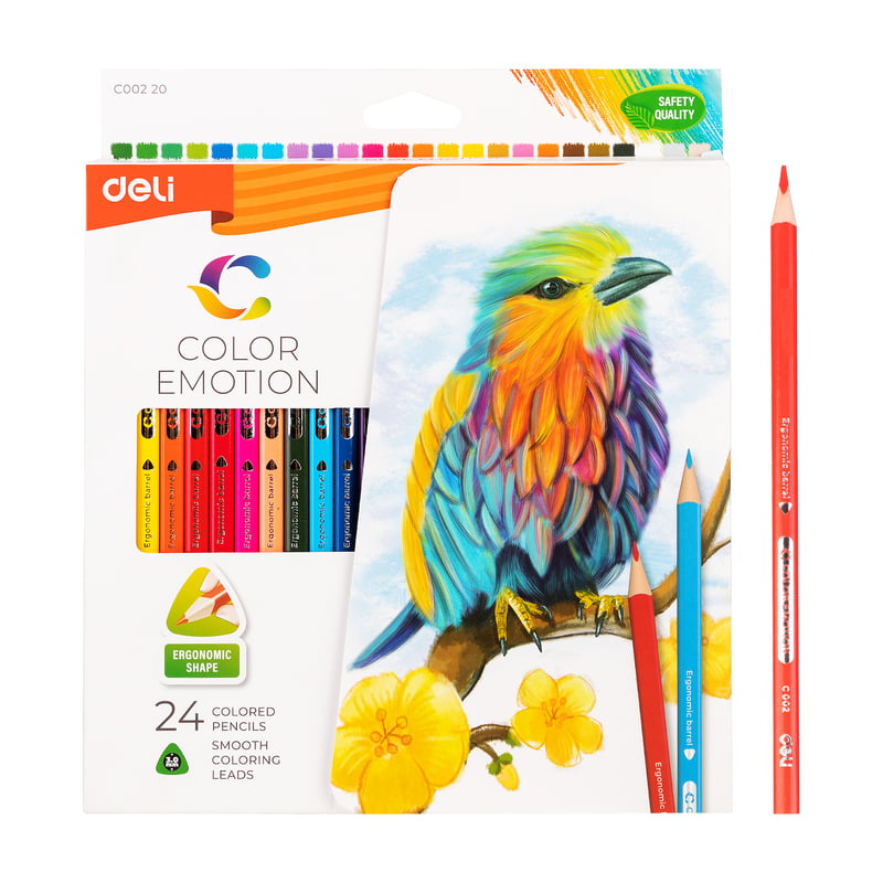 LÁPIZ DE COLOR - C00220