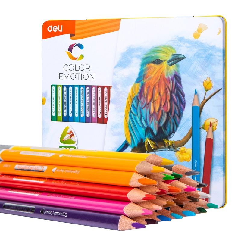 LÁPIZ DE COLOR - C00225