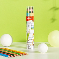 LÁPIZ DE COLOR - C112-12