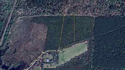 Private Wooded Land - 5.75 Acres in Rison, AR
