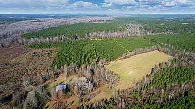 Private Wooded Land - 5.75 Acres in Rison, AR