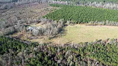 Private Wooded Land - 5.75 Acres in Rison, AR