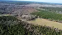 Private Wooded Land - 5.75 Acres in Rison, AR