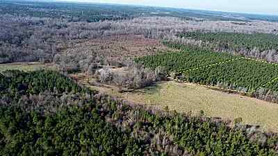 Private Wooded Land - 5.75 Acres in Rison, AR