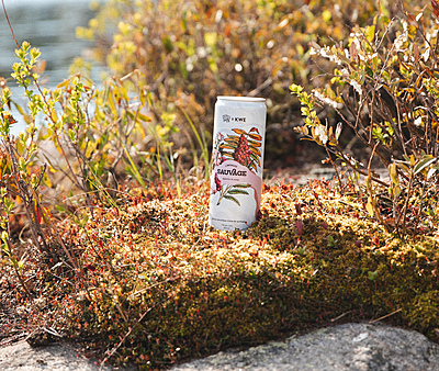 Limonade Sauvage (prêt-à-boire) Limonade Sauvage (prêt-à-boire)