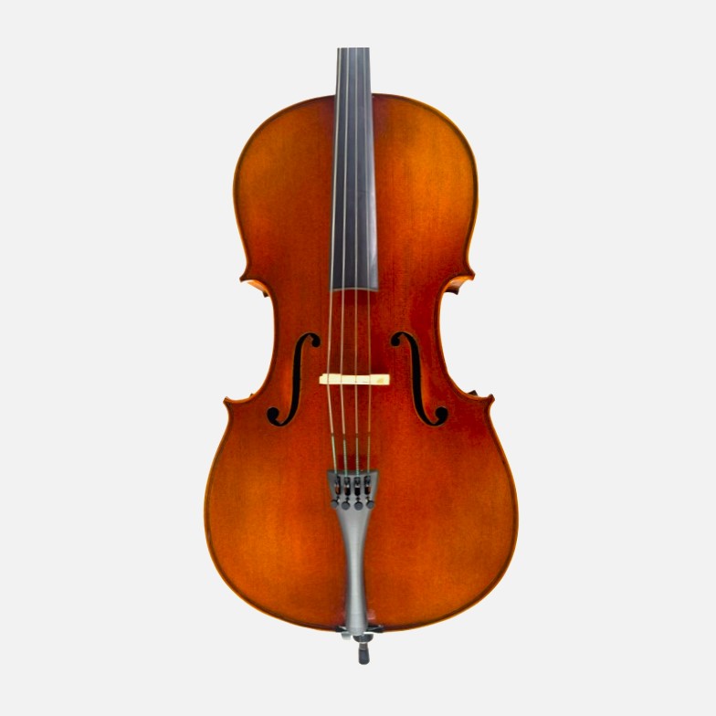 Cello 3/4 Andante model