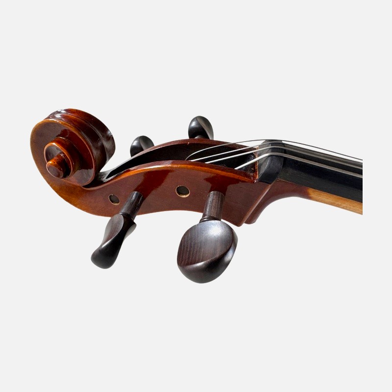 Cello 3/4 Andante model