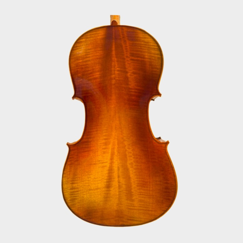 Cello 3/4 Andante model