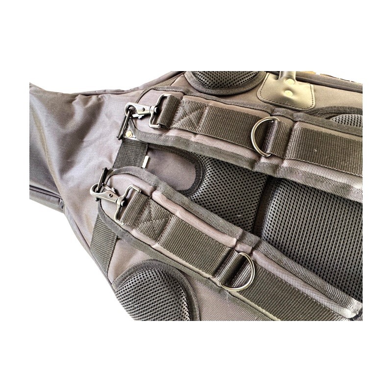 Cello 4/4 Allegro model