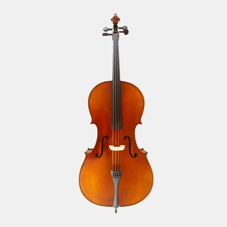 Cello 4/4 Andante model