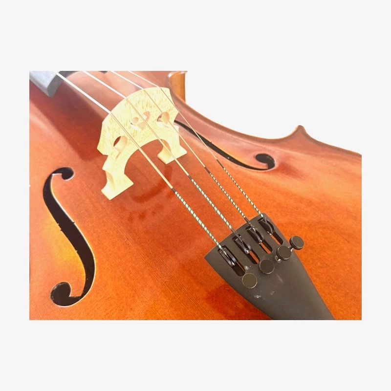 Cello 4/4 Andante model