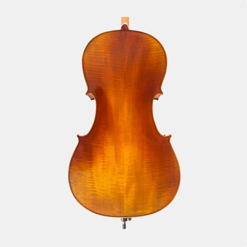 Cello 4/4 Andante model