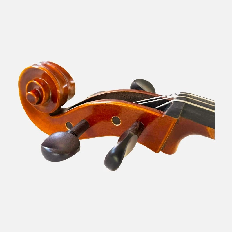 Cello 4/4 Andante model