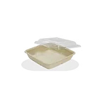 SUGARCANE SQR - CS 