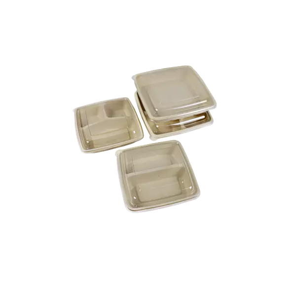 SUGARCANE SQR - CS 