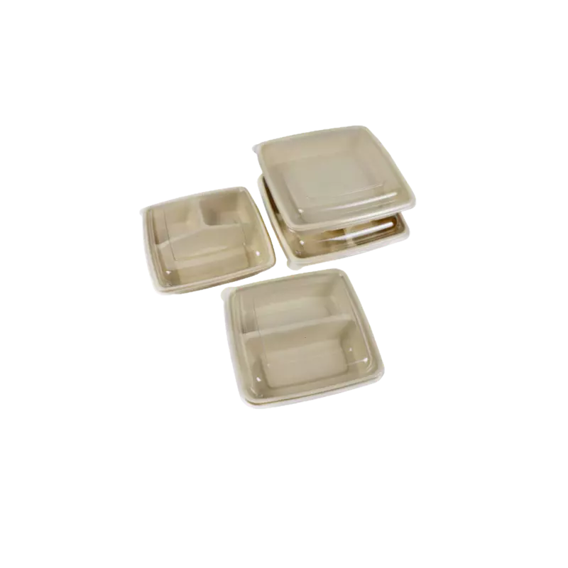 SUGARCANE SQR - CS 