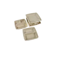 SUGARCANE SQR - CS 
