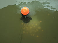 Carp Spirit Bait Rocket XL Carp Spirit Bait Rocket XL