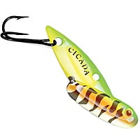 Reef Runner Tungsten Cicada Reef Runner Tungsten Cicada