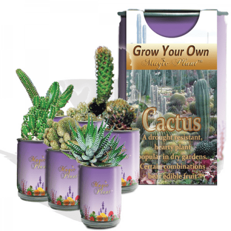 Cactus Plant Growing Kit
