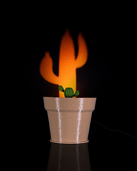 Cactus Vase Wall Light